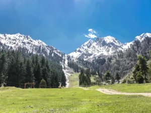 Naltar_Valley