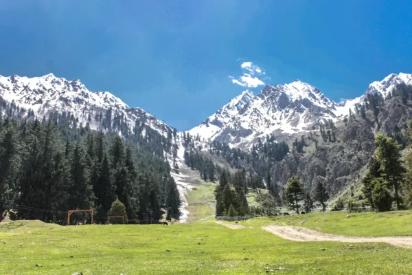 Naltar_Valley