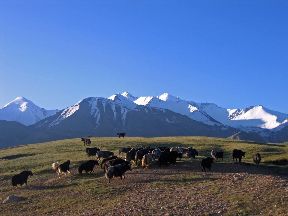 Shimshal-Pass Pamir Valley Trek